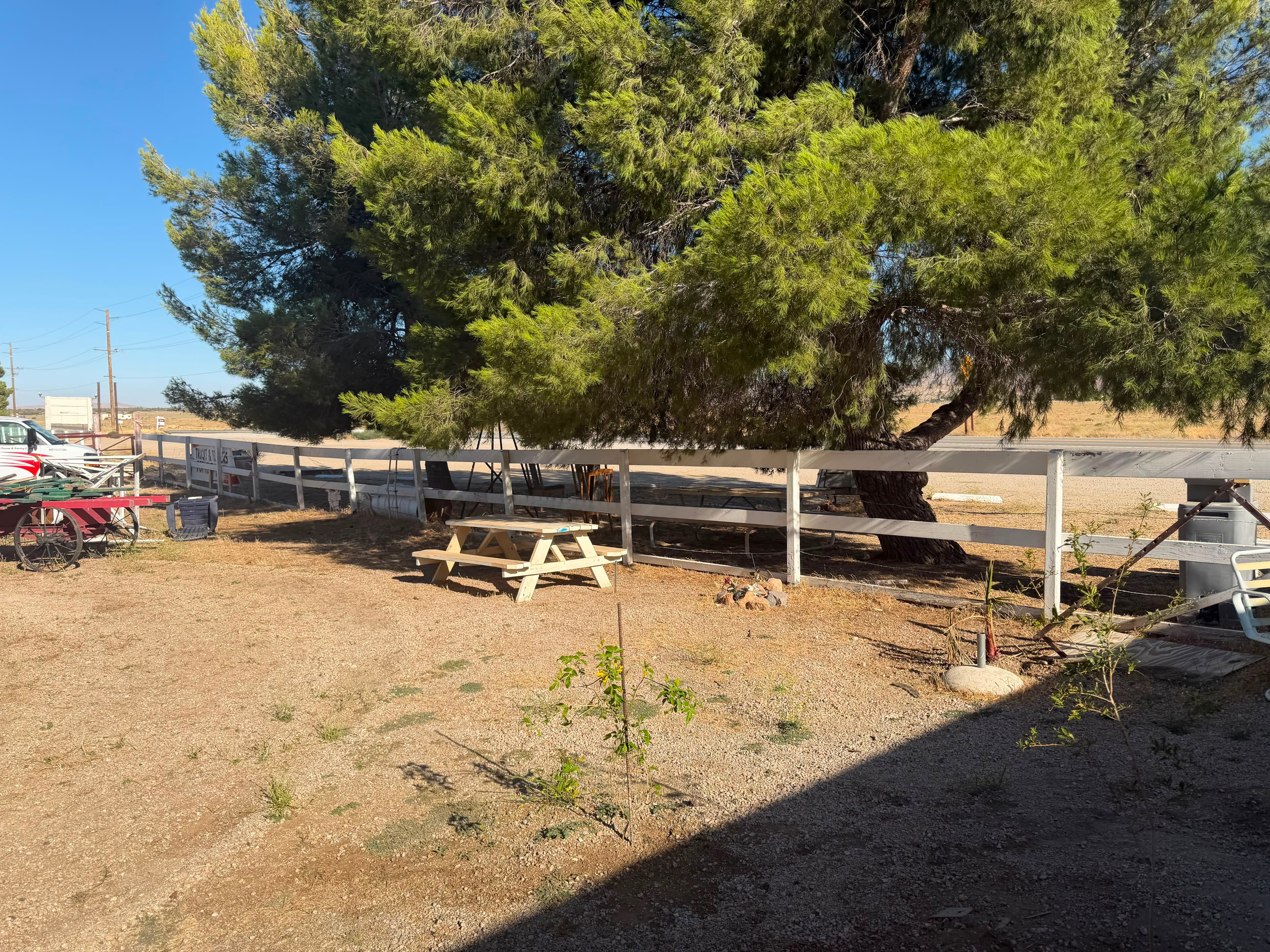 The garden at Neenach